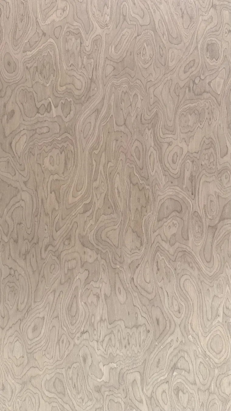 Lembar veneer kayu asli Lamina Apricot Cream Burl 499